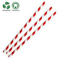 Red & White Compostable Paper Straws (197x6x6mm) - 1x250